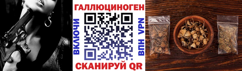 дарк нет телеграм  Пучеж  Галлюциногенные грибы прущие грибы  купить наркотик 